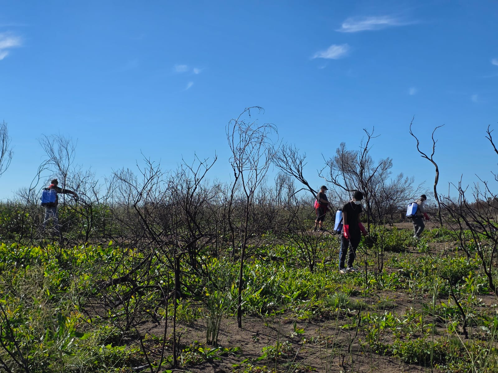Danabaai Conservancy IAP project